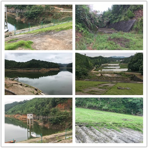 小型水庫.jpg 小型水庫.jpg