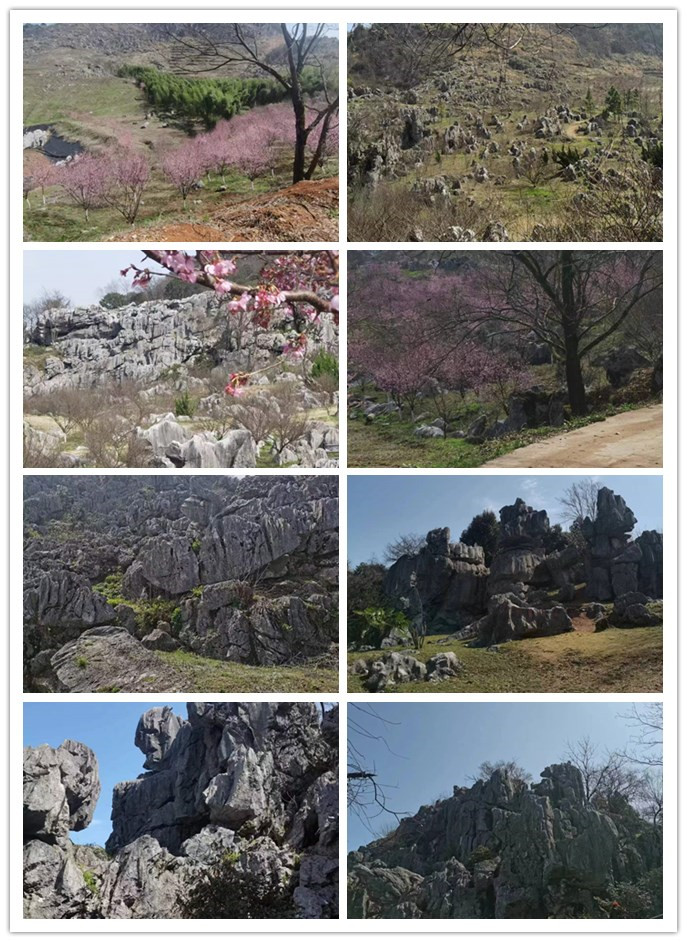 initpint1u_副本.jpg initpint1u_副本.jpg