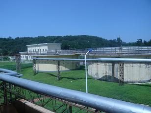 �|���c�(y��ng)�������޹�˾���y������������̎������