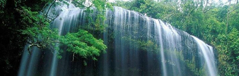 �M���ß�DƬ